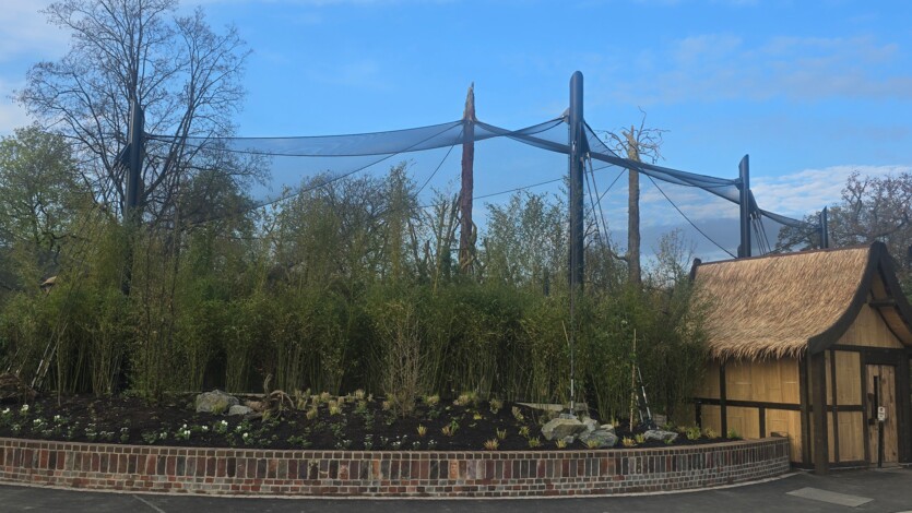 Zoo Inselwelten - Voilere mit Seiltragwerk